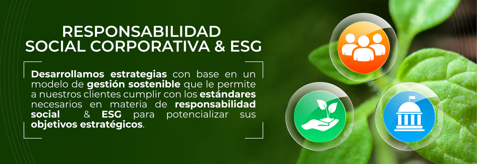 Responsabilidad Social Corporativa y ESG